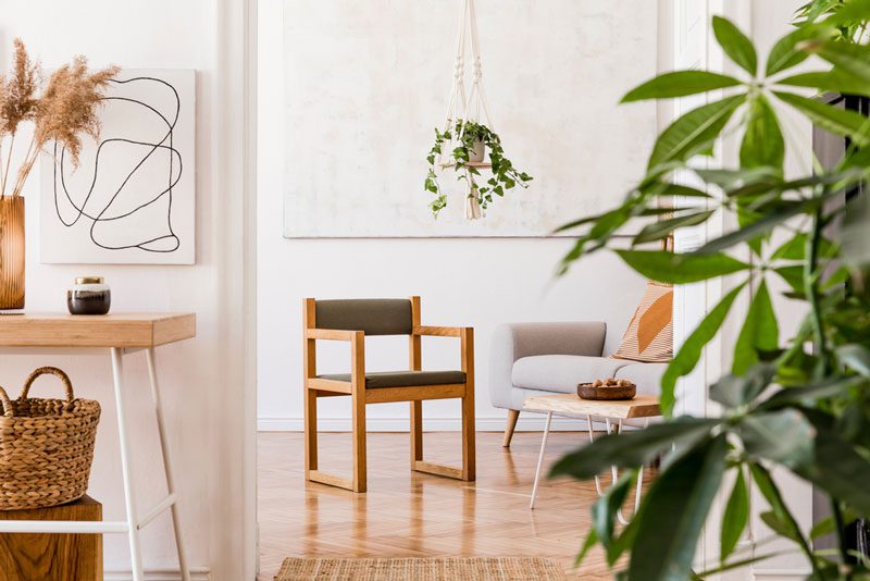 Pflanzen im Wohnzimmer