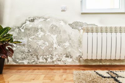 Tauwasser im Haus vermeiden, Probleme beseitigen