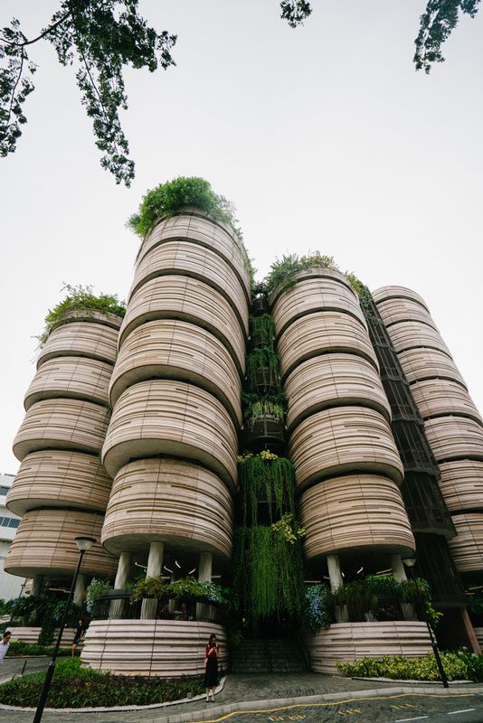 nachhaltiges bauen bienenstock singapur