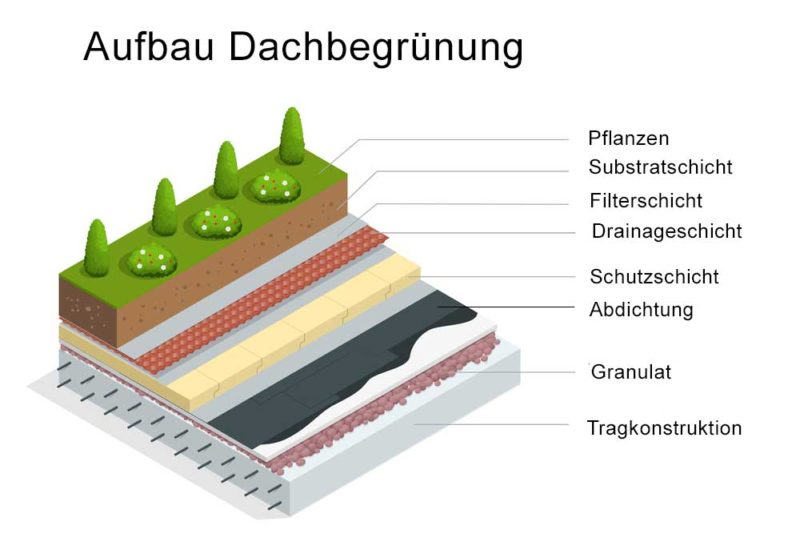 Aufbau Dachbegrünung