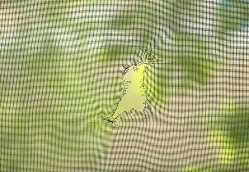 gerissenes Fliegengitter