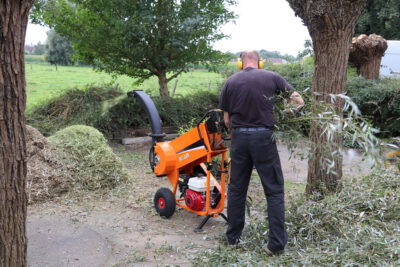 Benzin- oder Elektrohäcksler: Was lohnt sich für welchen Garten? Depositphotos_680431646_L