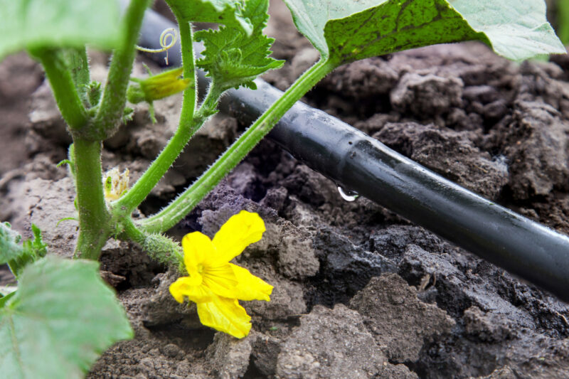 Bewässerungssystem für den Garten