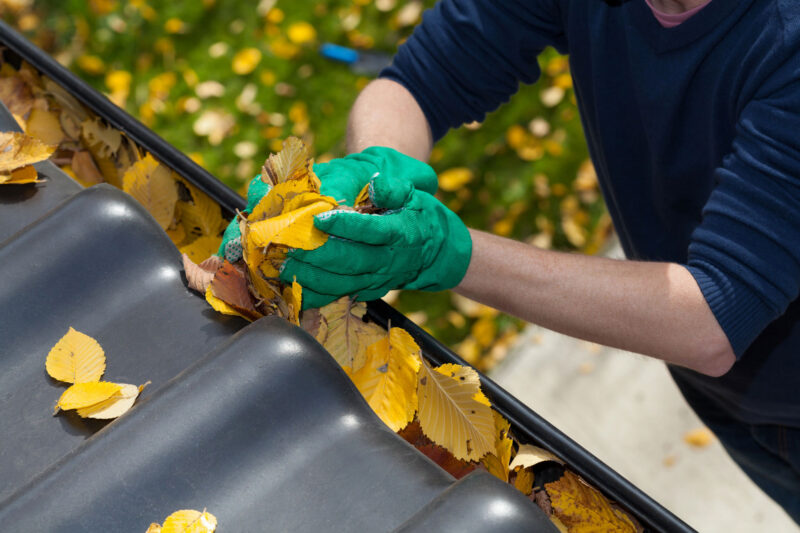 Person mit gr&uuml;nen Arbeitshandschuhen entfernt gelbes Herbstlaub aus einer Dachrinne.